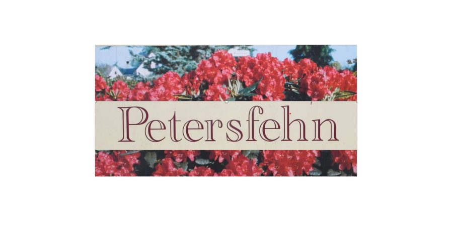 Petersfehn vor Rhodos page